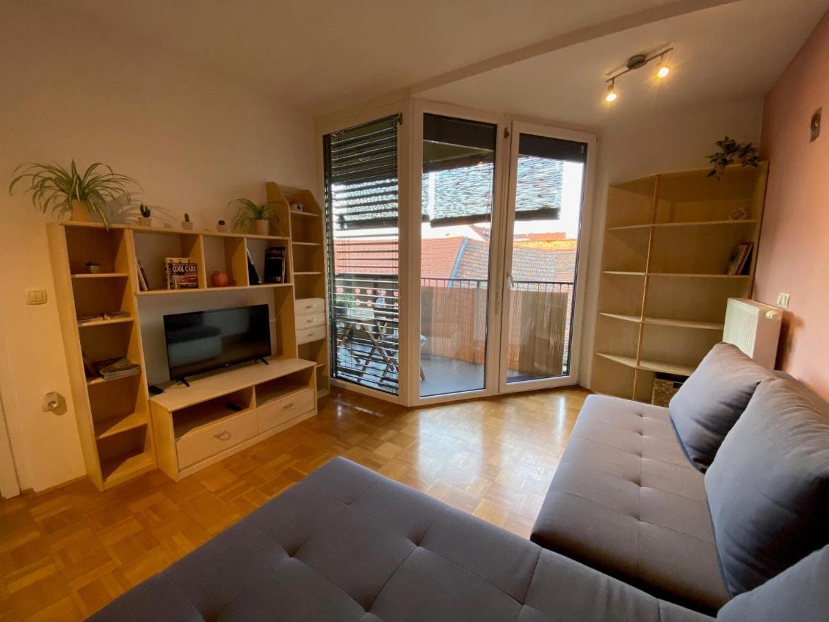 Apartma Felicija Ljubljana Buitenkant foto